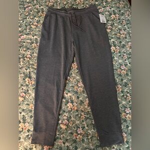 NWT Athletic Works Driworks Sz Large Pants Gray 34x30 Polyester Blend Drawstring